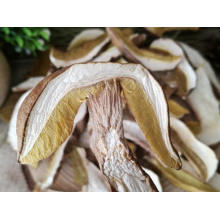 Dried Mushroom Edible Fungus Boletus Edulis Porcini